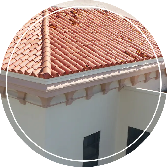 Storm and Weather Damage Check