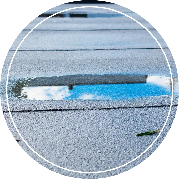 Structural Integrity Check