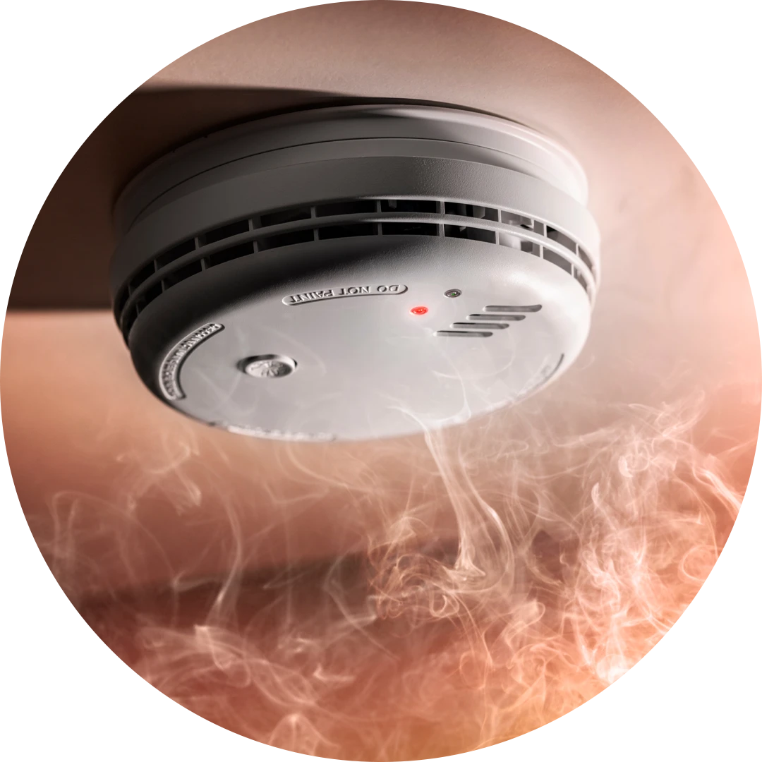 Bad Smells in Your House